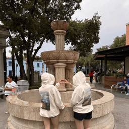 las.anahuaquenas avatar