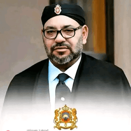 loubnaelanaami avatar