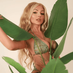 missleylahlinda avatar