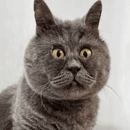 pineapple01188 avatar