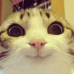 rrrrrrrrrrrrrrrrrli avatar