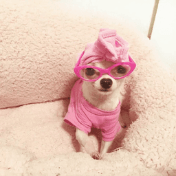 user66152153782493 avatar