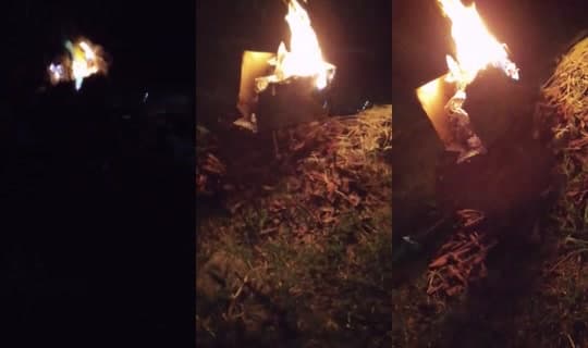 adyocampo1258's Stream - Mar 3, 2026, 4:38 AM