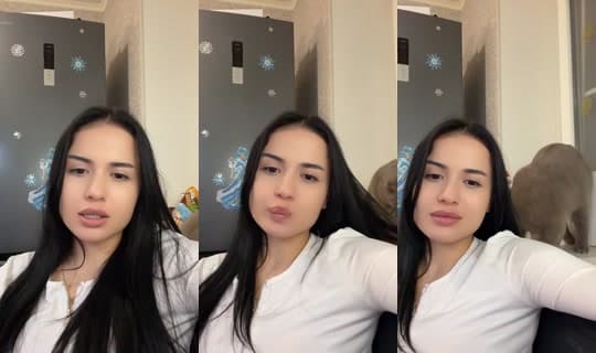 dina_sheyha's Stream - Feb 24, 2026, 3:53 AM