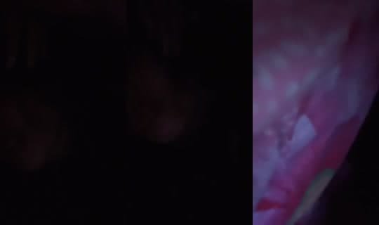 luiizzzzaaaa's Stream - Mar 31, 2026, 4:06 PM