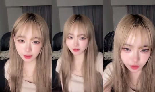 chiaoccc's Stream - Mar 3, 2026, 5:02 PM