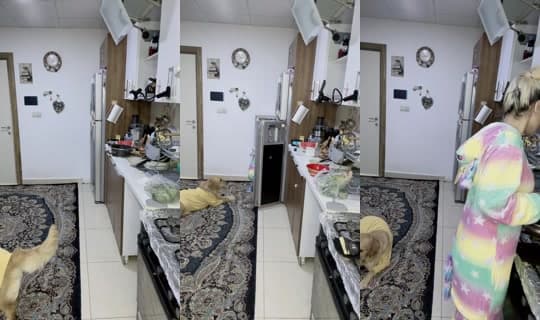 sarona.56's Stream - Apr 2, 2026, 5:00 PM