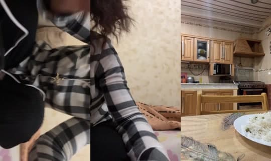 samira_gym_fit's Stream - Apr 4, 2026, 10:17 PM