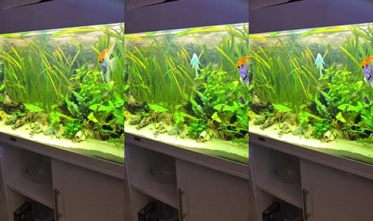 feelgoodmanager3's Stream - Mar 4, 2026, 6:21 AM