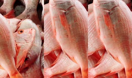 coumba.gn24's Stream - Apr 9, 2026, 3:17 PM