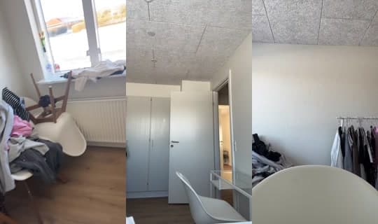 mathilde.michaelsen's Stream - Feb 19, 2026, 2:04 PM