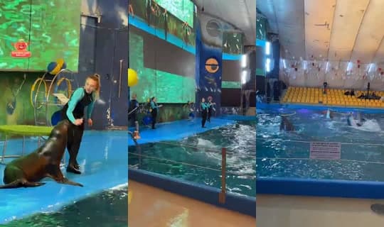 بث bosss_andrey - 24 فبراير 2026، 10:26 ص