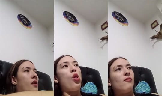 Keith_1's Stream - Feb 24, 2026, 2:37 AM