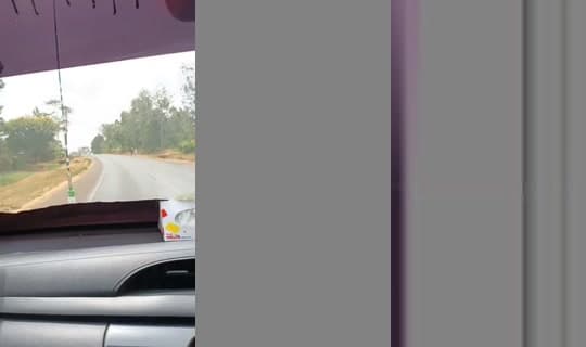 miraapilots's Stream - Feb 7, 2026, 11:14 AM