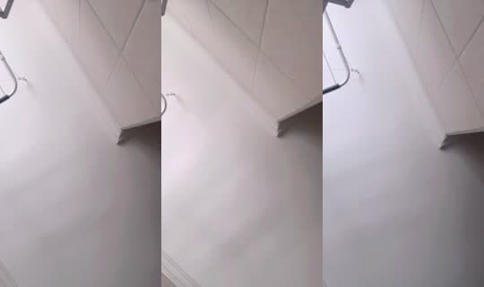 942669620's Stream - Feb 23, 2026, 11:31 AM