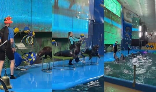 Live de bosss_andrey - 1 de mar. de 2026, 16:23