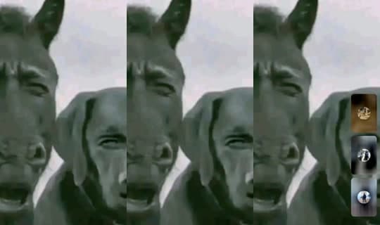 soo344l2's Stream - Mar 27, 2026, 12:29 AM