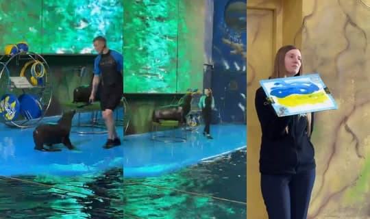 bosss_andrey's Stream - Feb 15, 2026, 4:21 PM