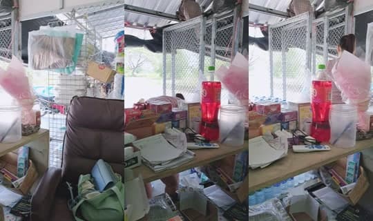 Transmisión de TUNGPUY - 10 abr 2026, 3:46