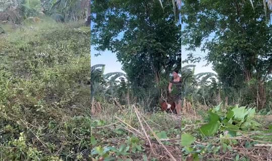 jonnarosetaguiam's Stream - Feb 24, 2026, 8:36 AM