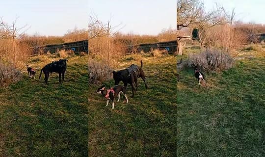 july_summer_'s Stream - Mar 4, 2026, 3:49 PM