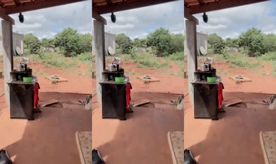 ronyhulk's Stream - Apr 2, 2026, 1:05 PM