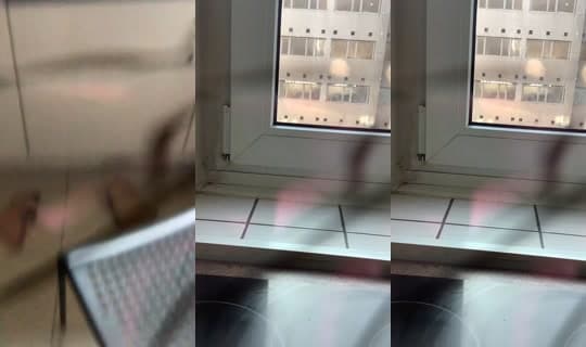 lilyahijazi's Stream - Mar 3, 2026, 3:17 PM