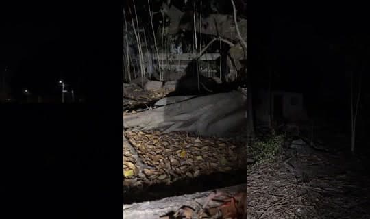 maisog_girl's Stream - Apr 4, 2026, 2:53 PM