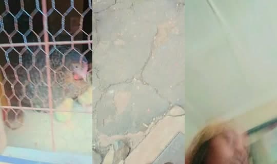 ivannahmary3's Stream - Mar 1, 2026, 2:01 PM