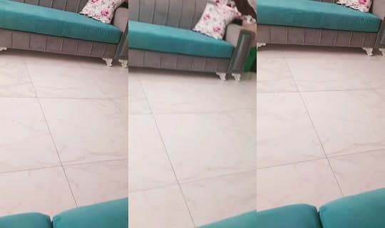 loma2901's Stream - Mar 31, 2026, 1:54 PM