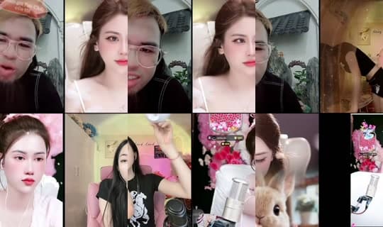 tayrambo_bonsai's Stream - Apr 6, 2026, 4:44 PM