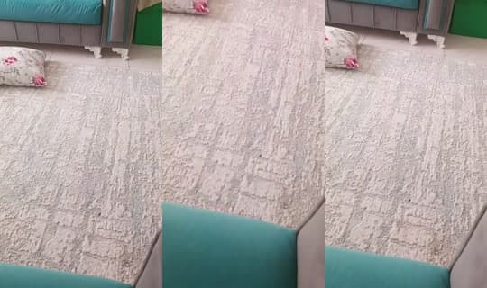 loma2901's Stream - Apr 4, 2026, 1:39 PM