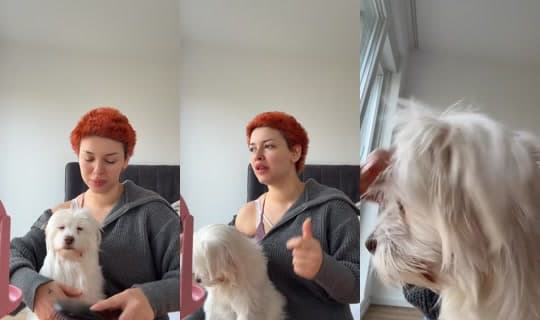 jupiter1202__'s Stream - Mar 4, 2026, 10:17 AM