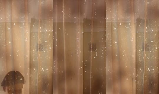 la.karisfuego's Stream - Mar 2, 2026, 5:06 AM