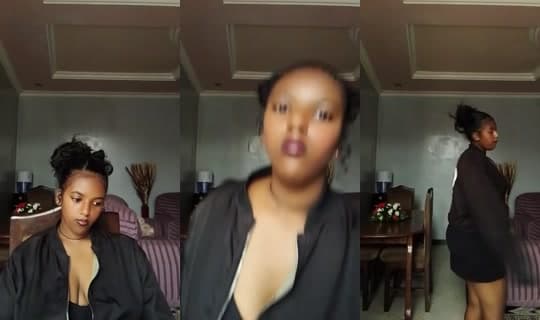 1102489905's Stream - Apr 8, 2026, 10:40 AM