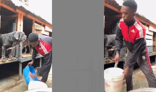 moubaraknchare2's Stream - Feb 8, 2026, 7:44 AM