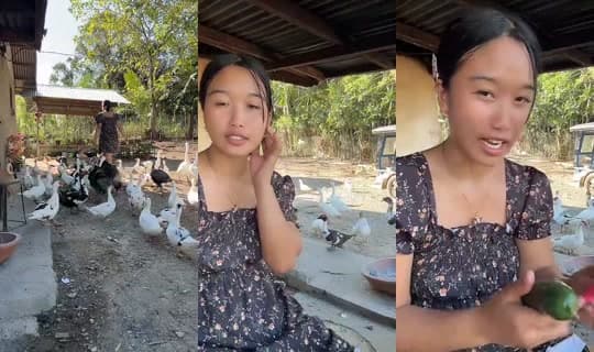 jonnarosetaguiam's Stream - Feb 24, 2026, 7:27 AM