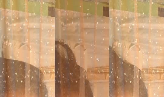 angel.jhein's Stream - Mar 1, 2026, 4:22 PM