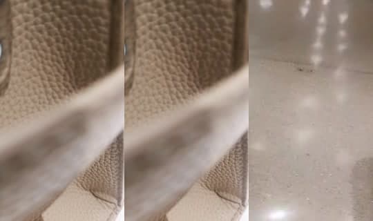 liliquatar11's Stream - Apr 3, 2026, 6:37 PM