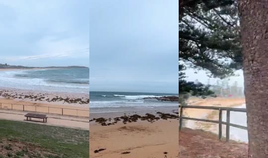 amanda__australia Yayını - 2 Mar 2026 6:55