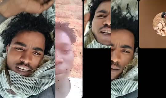 .81808433's Stream - Apr 4, 2026, 1:53 PM