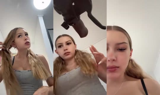 kodaaxo_의 방송 - 2026년 2월 24일 오전 7:20