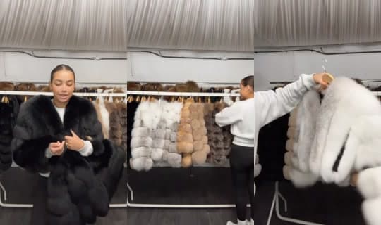 essexcouture's Stream - Feb 24, 2026, 8:22 AM