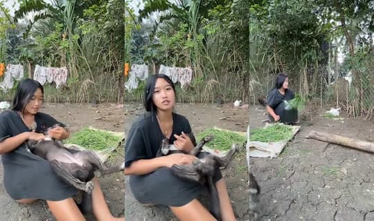 jonnarosetaguiam's Stream - Feb 22, 2026, 9:23 AM