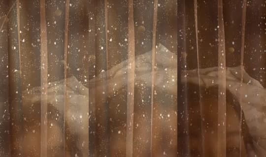 angel.jhein's Stream - Mar 4, 2026, 12:42 PM