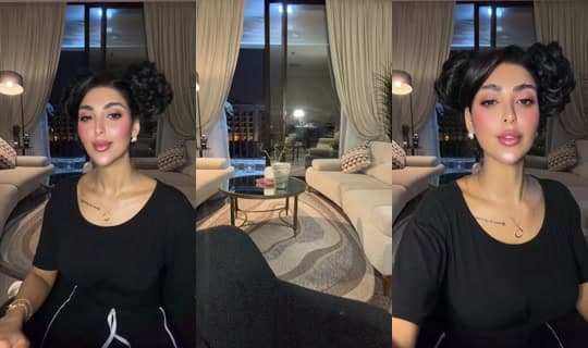 official.ansam's Stream - Mar 3, 2026, 12:06 AM