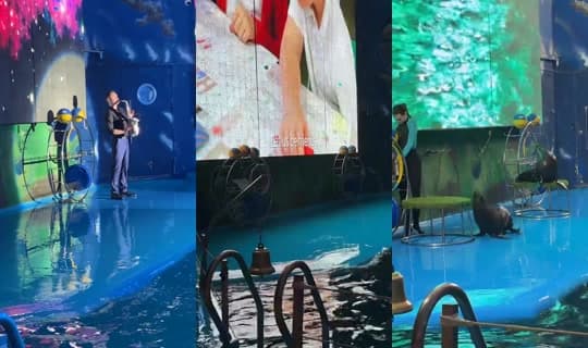 bosss_andrey's Stream - Feb 15, 2026, 5:53 PM