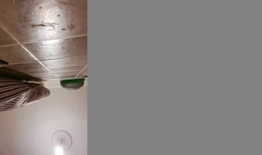 Live de 1dania33 - 2 de mar. de 2026, 4:25