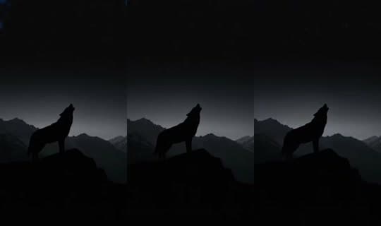 __88arm88__'s Stream - Apr 6, 2026, 7:00 PM