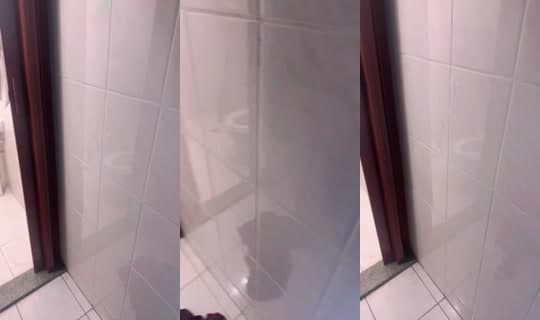 942669620's Stream - Feb 24, 2026, 2:26 AM